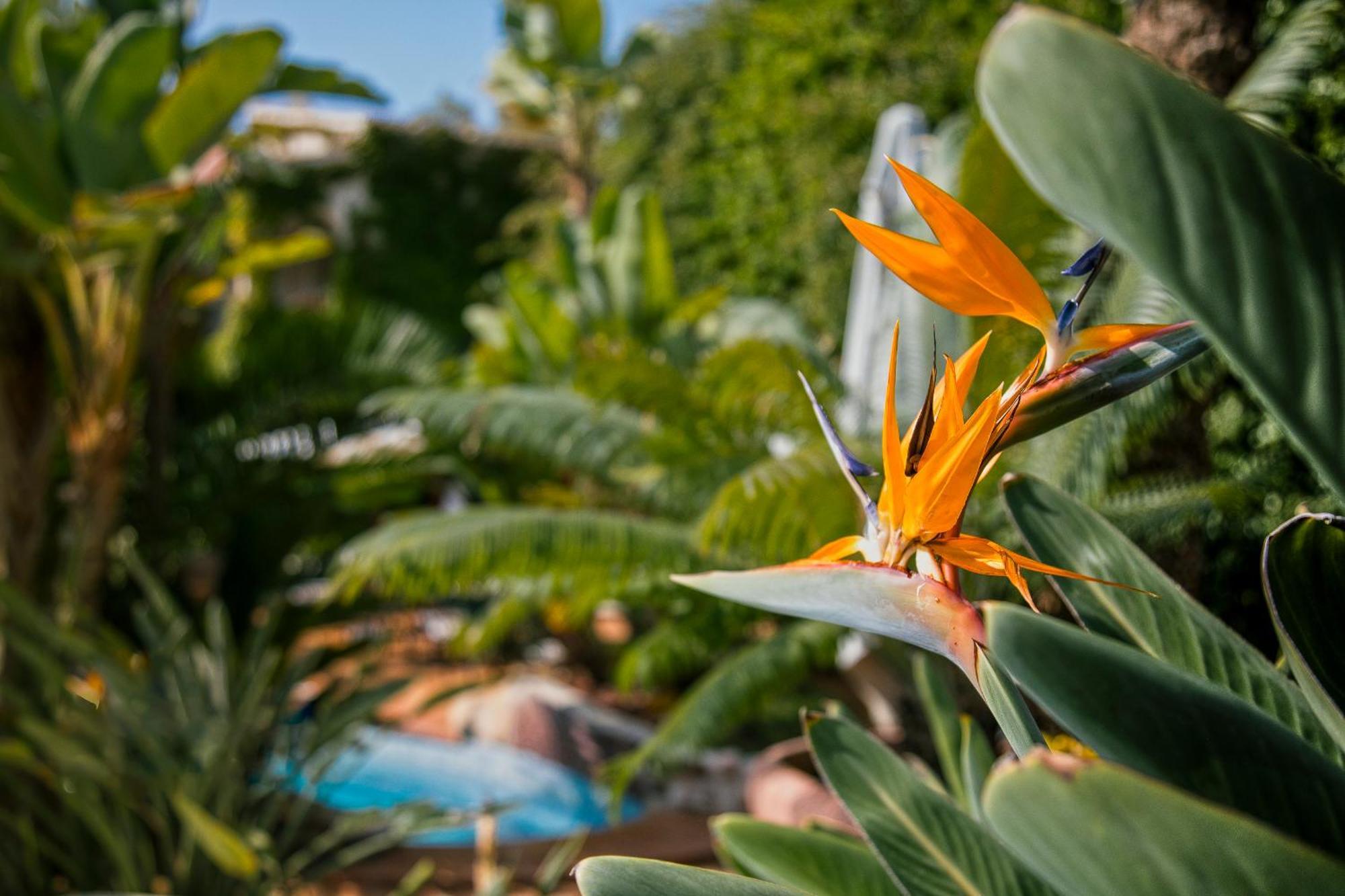 Swiss Moraira Hotel & Spa - Designed For Adults エクステリア 写真
